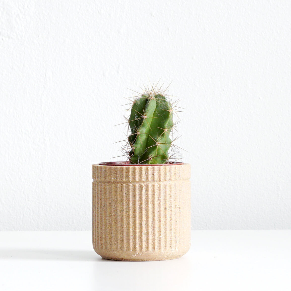 Set van 4 | Duo, Ribs, Raster, Zigzag (55 mm)