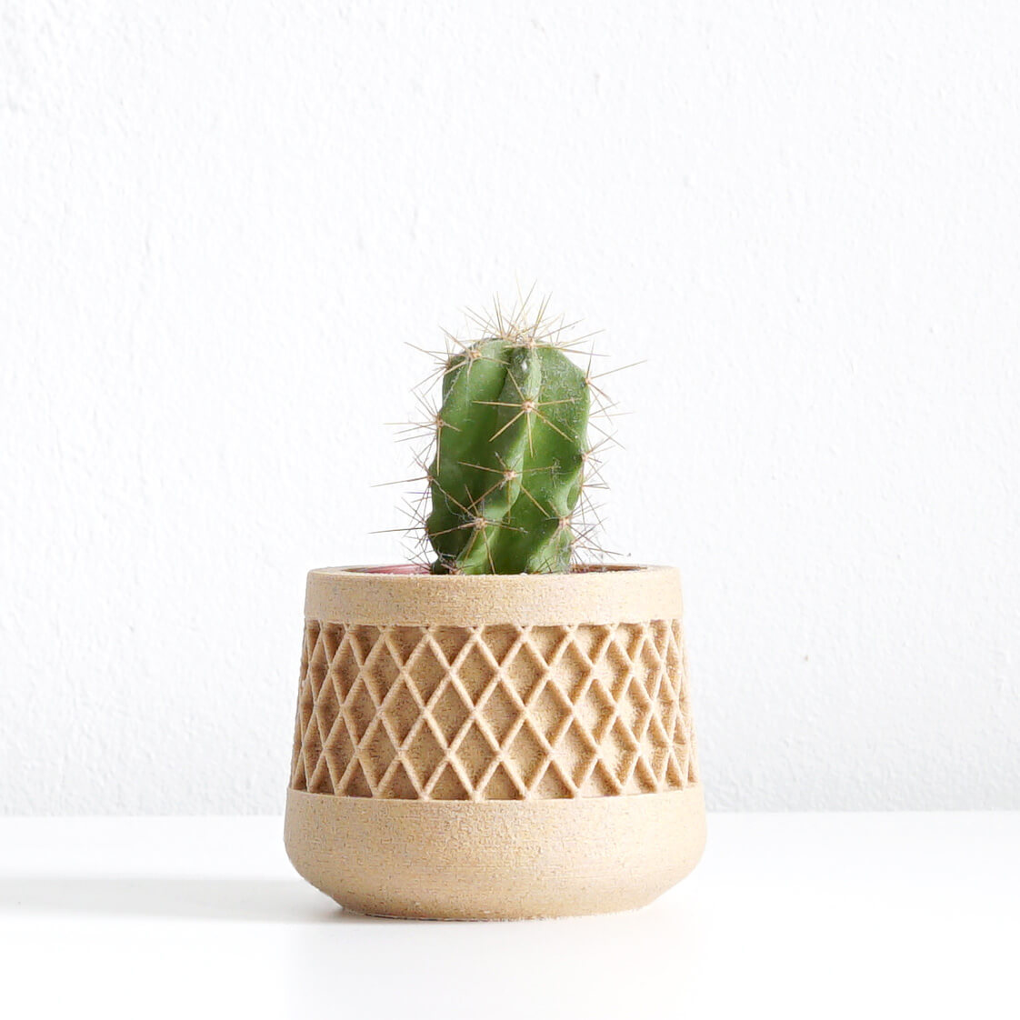 Plantenpot | Raster