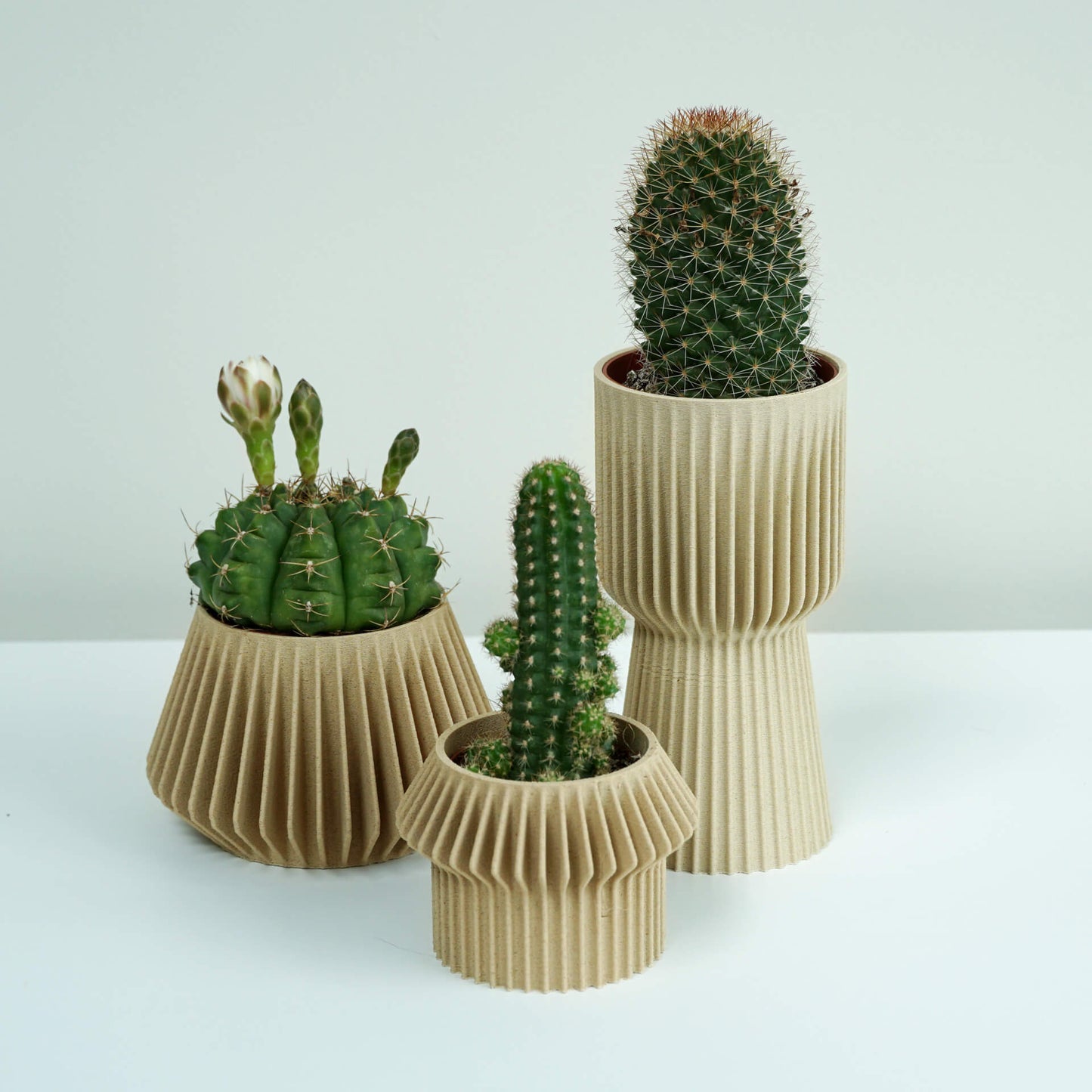 Planter combination, 3D print plantenpot