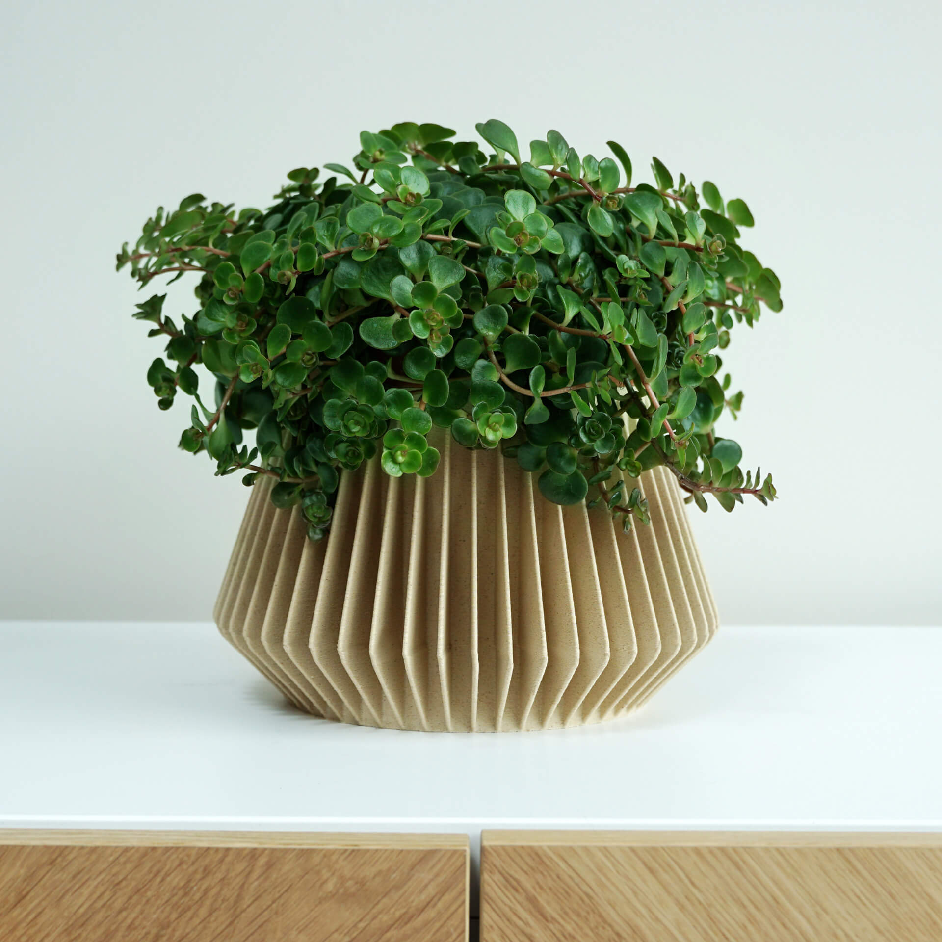 Planter | Ribs 120mm, 3D print plantenpot